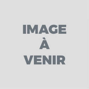 Guide main pour échelles et escaliers 